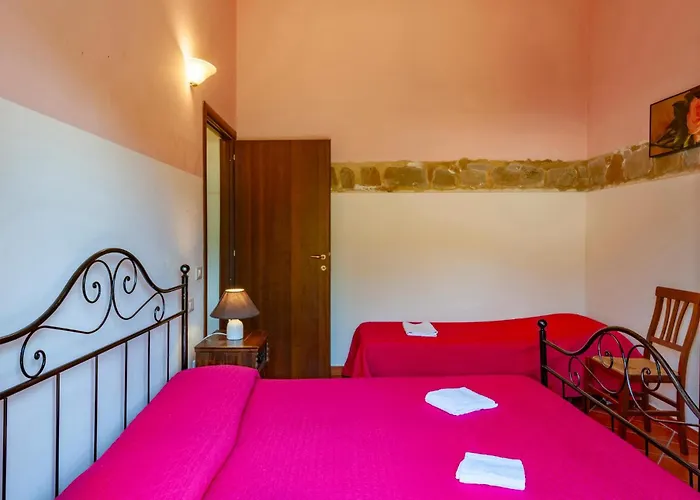 Valguerriera 6- Rosa Cremisi Apecchio